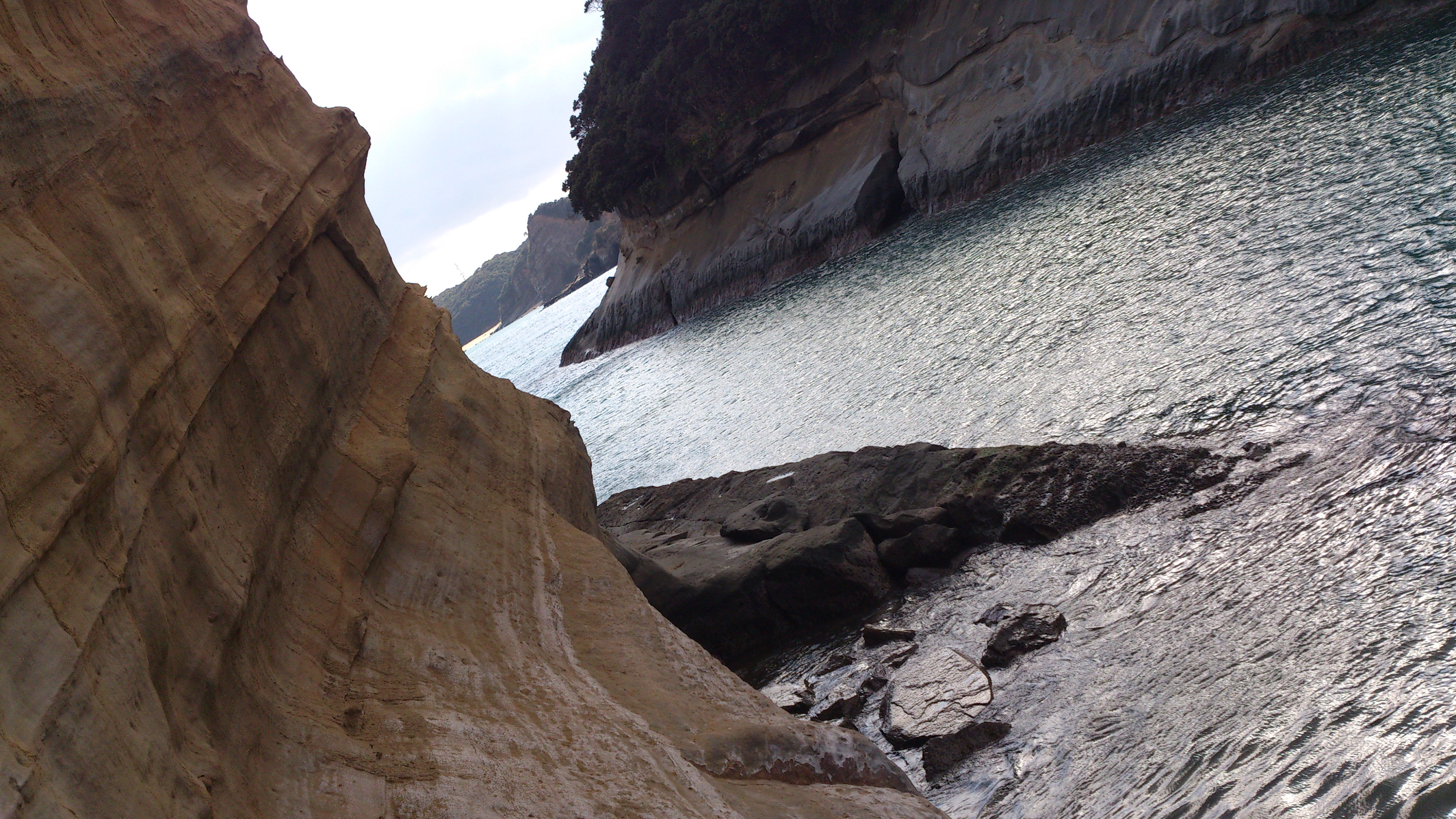 2012年12月。僕は種子島を一人で旅した：岩肌。これはクッキリ撮れてる。