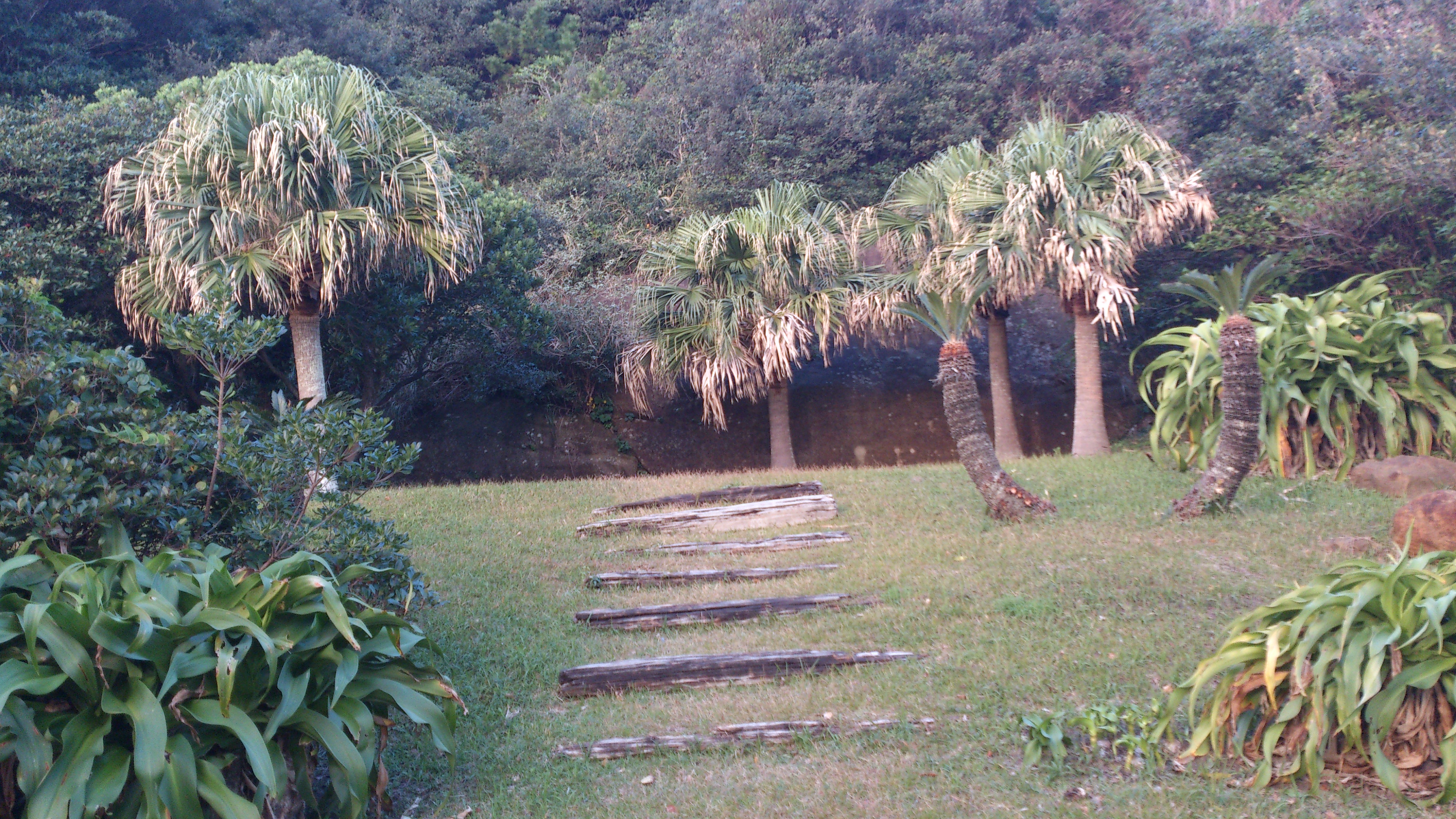 2012年12月。僕は種子島を一人で旅した：たぶん種子島の一番高いところ