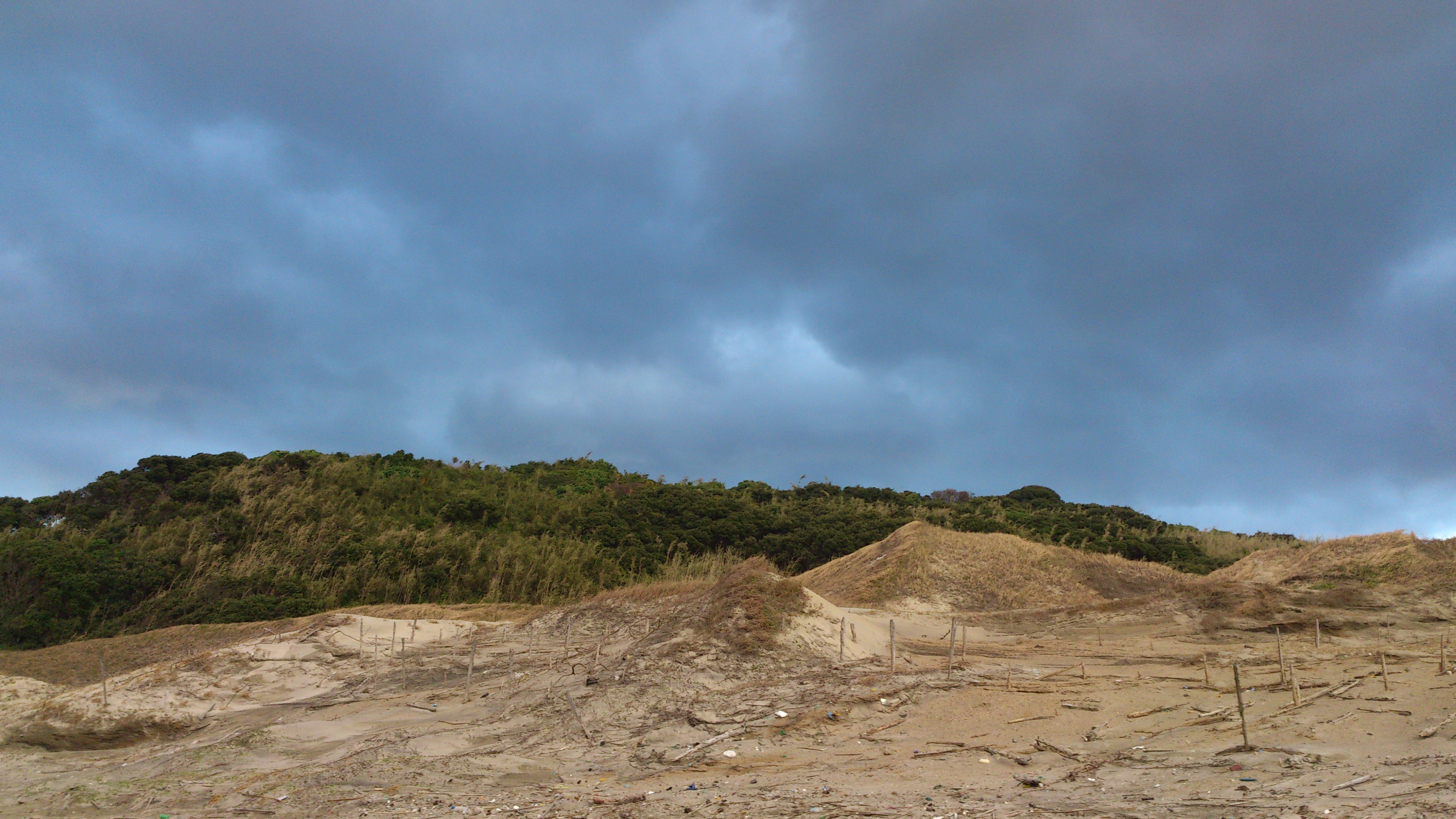2012年12月。僕は種子島を一人で旅した：絶妙な曇りと岩肌