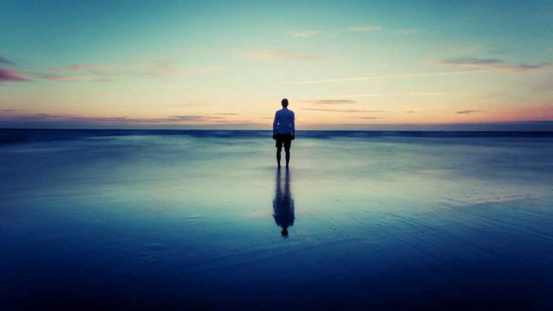 【画像なし】「虫が嫌い（苦手）あるある」を列挙する【全10個】