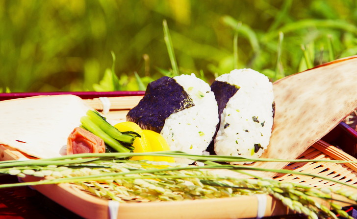 漬物が嫌いだけど、人生の半分を損してる気がする