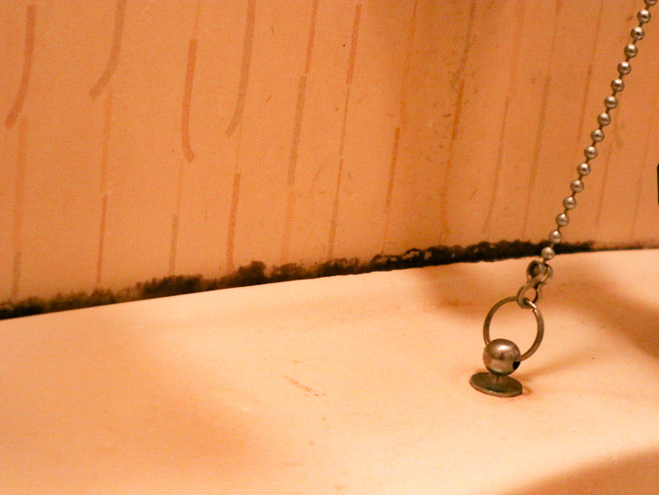 5年分の「カビ」に「カビハイター」を使ったらめっちゃ効果があった： カビ（アップ）